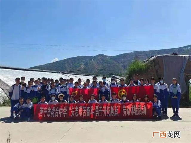 四年级社会实践活动有哪些,儿童社会实践活动项目有哪些