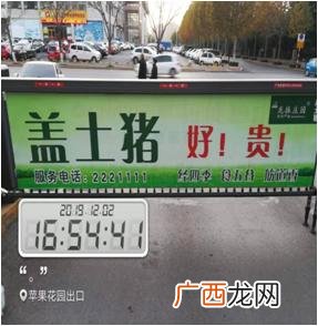 养殖业创业计划书 洋芋创业计划书
