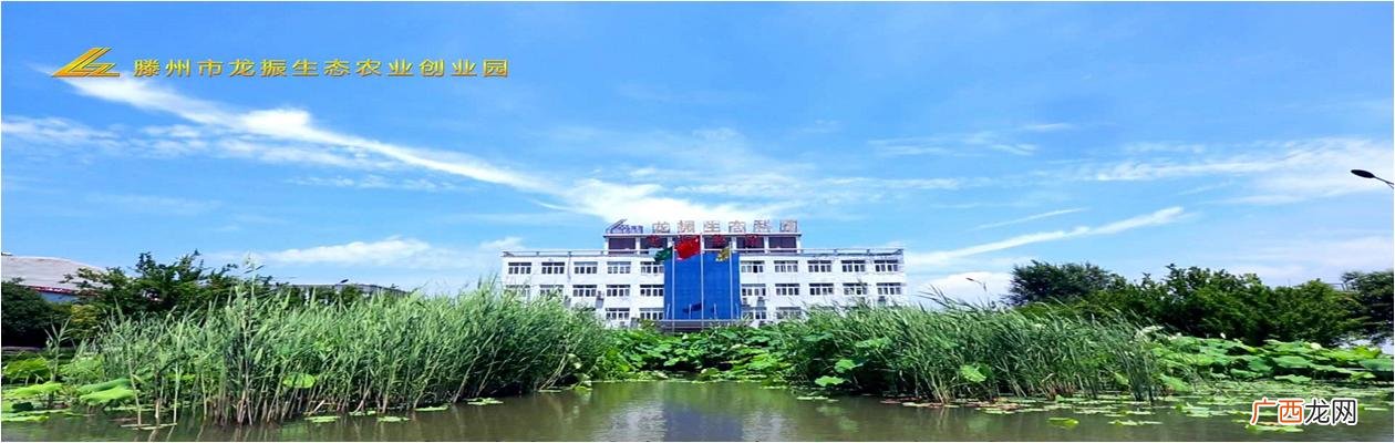 养殖业创业计划书 洋芋创业计划书
