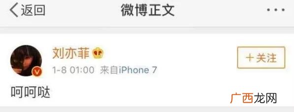 二菲,中菲创业