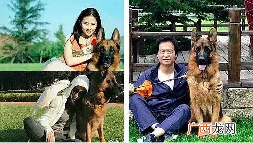 二菲,中菲创业