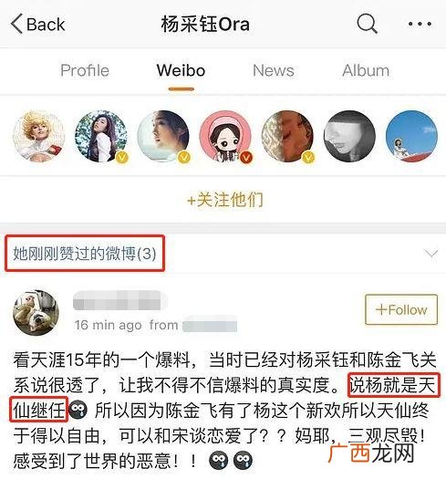 二菲,中菲创业