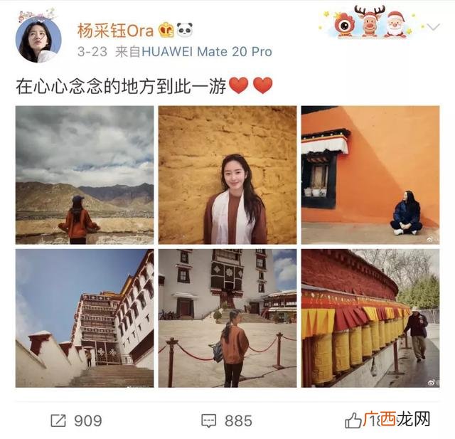 二菲,中菲创业