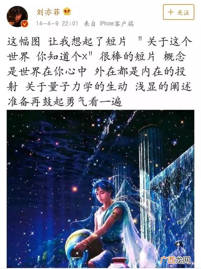 二菲,中菲创业