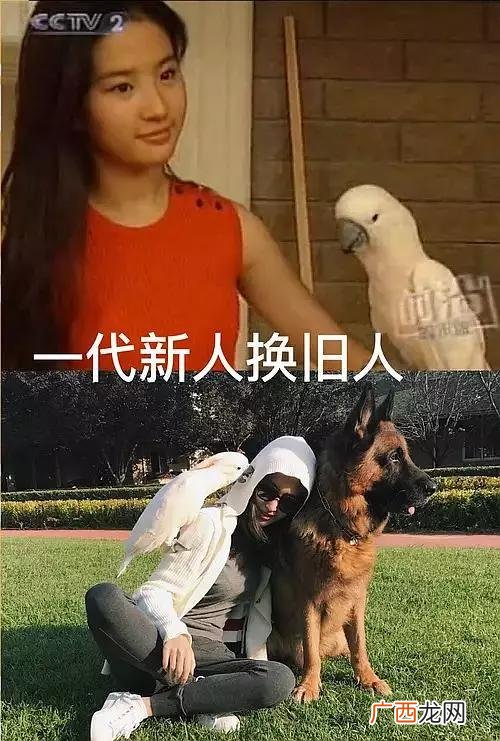 二菲,中菲创业