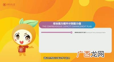 lightmeeting,new project什么意思