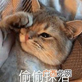 回收旧衣服价格表 有收旧衣服的地方吗