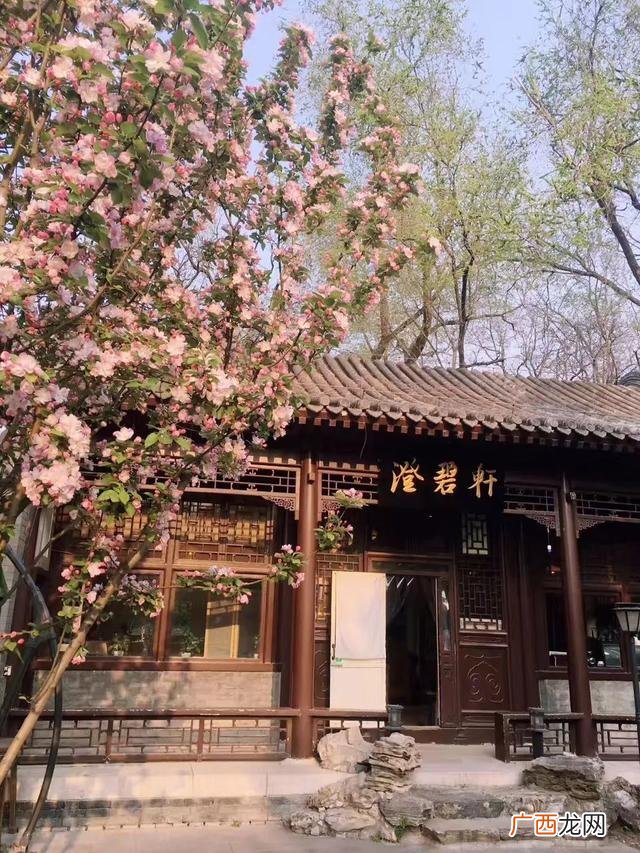 创业者如何组建自己的团队,茶庄创业者团队历程