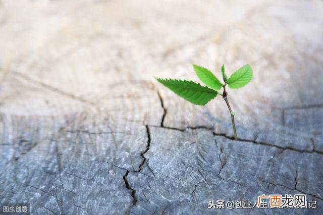 励志语录简短正能量,创业的励志语录