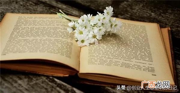 励志语录简短正能量,创业的励志语录