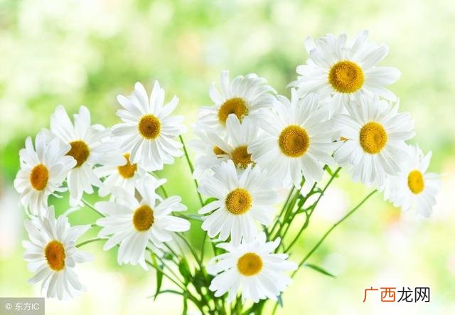 temperance正位,节制正位创业