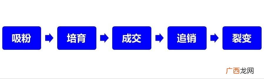 互联网水果创业计划书,互联网教育的创业方案