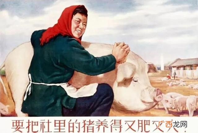 商业地产招商与租赁 商业地产招商手册