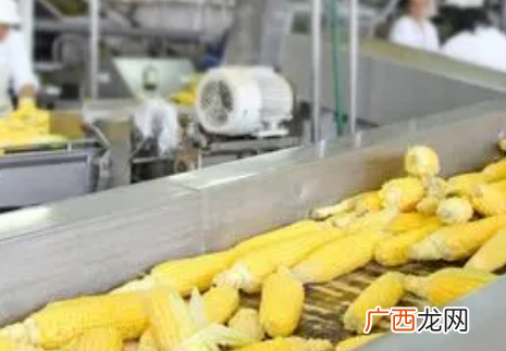 组装加工什么产品最赚钱，农村在家加工什么赚钱项目好