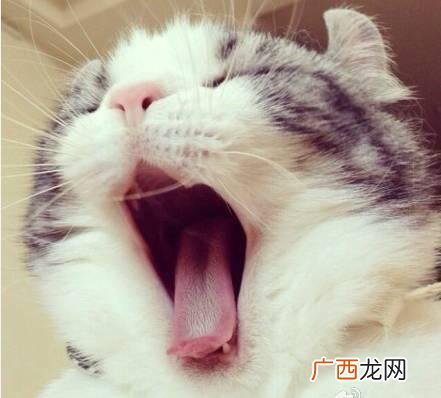 南通大学教务管理系统 南通大学杏林学院就业创业网登录