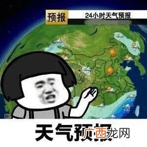 冲鸭,创业鸭下载