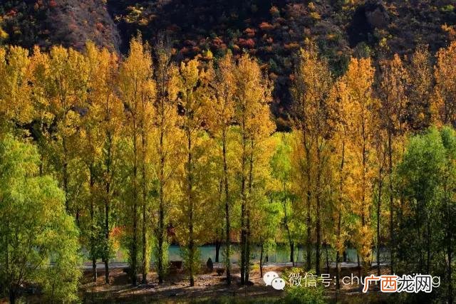 后沙峪房价多少一平 后沙峪到动物园