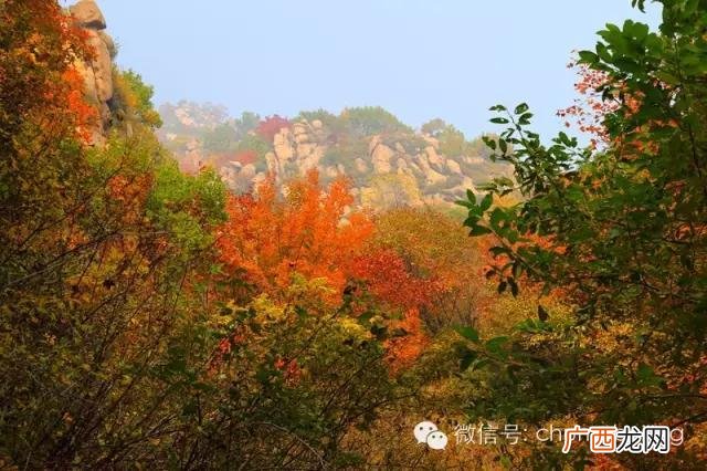 后沙峪房价多少一平 后沙峪到动物园