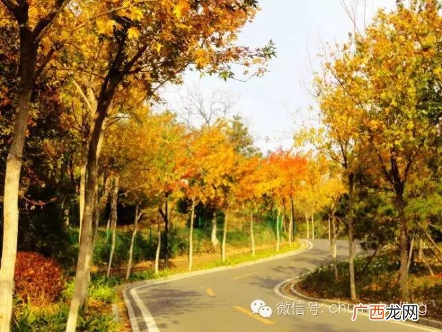 后沙峪房价多少一平 后沙峪到动物园