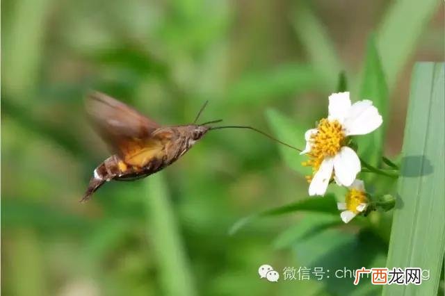 后沙峪房价多少一平 后沙峪到动物园