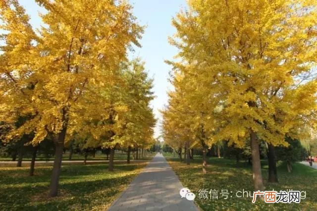 后沙峪房价多少一平 后沙峪到动物园