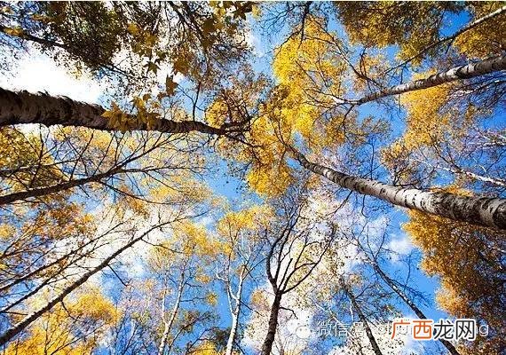 后沙峪房价多少一平 后沙峪到动物园