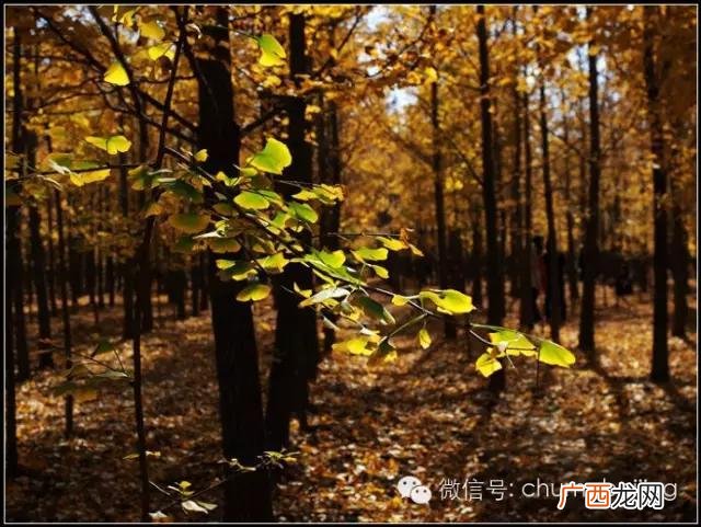 后沙峪房价多少一平 后沙峪到动物园