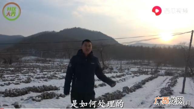 土特产店铺介绍,开东北特产店需要什么