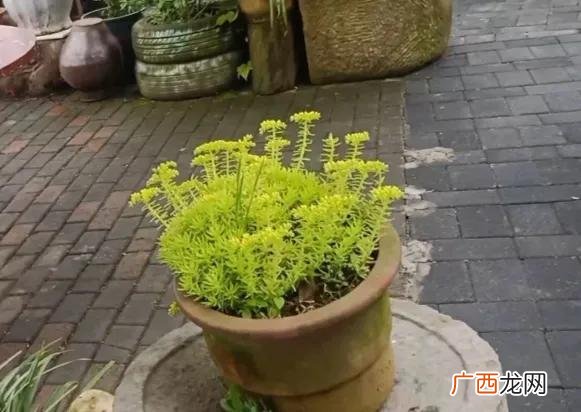 十万左右的创业项目 十元如何创业