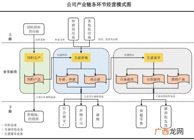 养猪商业策划书模板范文 生猪养殖创业计划书怎么写