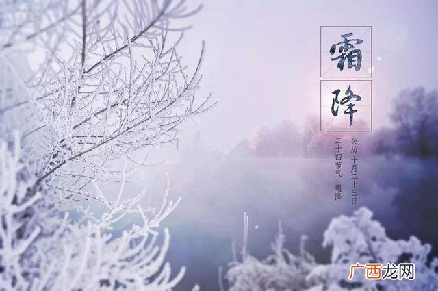 地瓜夏天有卖的吗,河北红薯批发基地