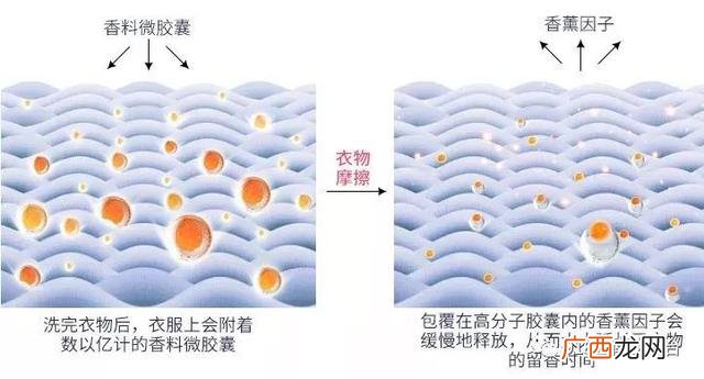 2kg就是2L吗,2kg洗衣液是多少斤
