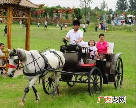 D1卡丁车馆,一个卡丁车馆要多少钱
