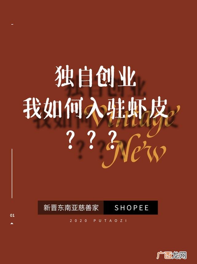 个人入驻小众电商平台,电商创业小卖家