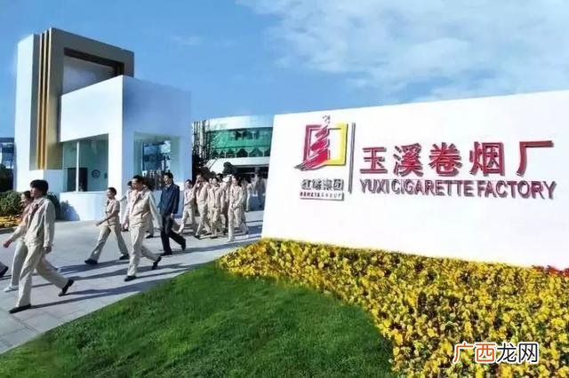 中国创业名人榜,老年创业成功的企业家