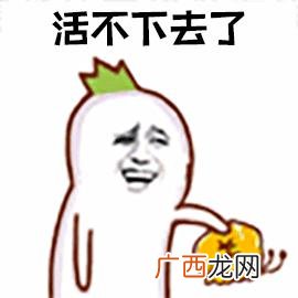 2020年买入创业板,2020年创业板基金