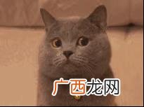 2020年买入创业板,2020年创业板基金