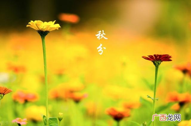 pmp现在还有用吗,pmp到期有必要续证吗