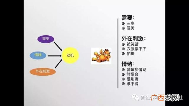 个人理想创业者画布 机敏创业画布
