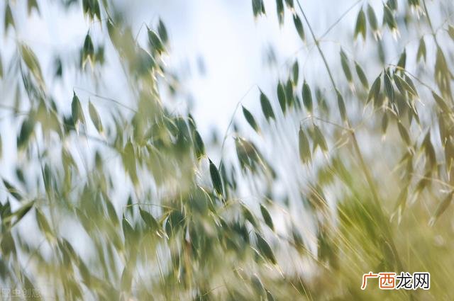 2021年最火的赚钱行业 2021年做什么最好赚钱