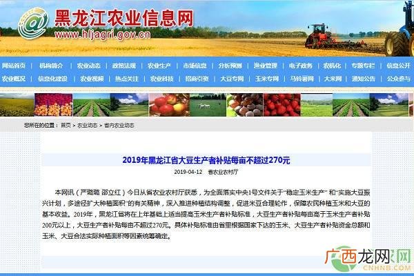 2020种植项目国家补贴政策,湄潭县创业扶持项目前期补贴