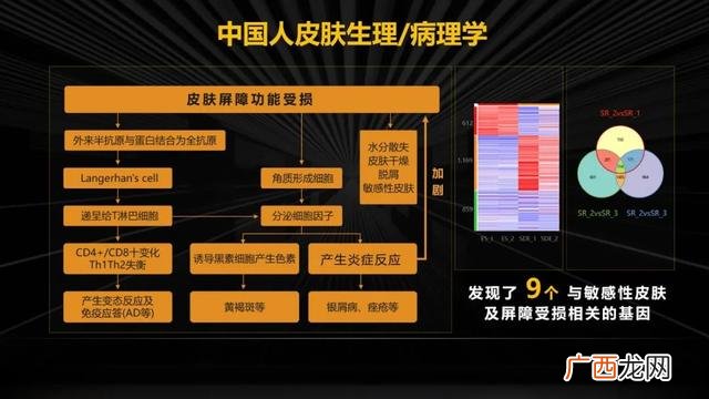 创业团队中提供团队结构并落实的是,创业团队游戏西天取经团队