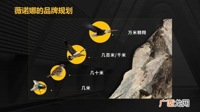 创业团队中提供团队结构并落实的是,创业团队游戏西天取经团队