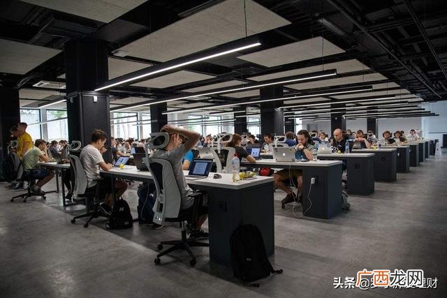 不上班行不行,创业走钢丝行不行