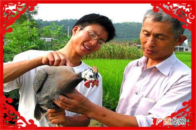 回乡创业养殖山羊致富 致富创业网搞养殖泥鳅