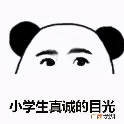 从零自学编程 免费,怎么自学编程