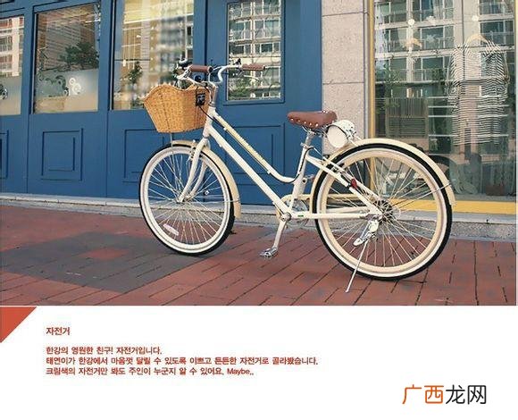 各国追星文化,追星文化的形成与发展