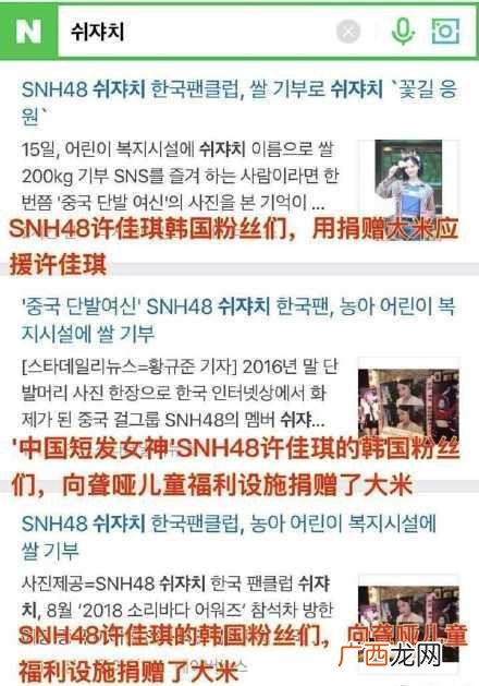 各国追星文化,追星文化的形成与发展