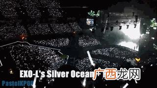 各国追星文化,追星文化的形成与发展