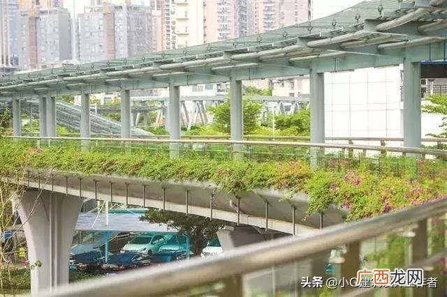 南山创业路,芙蓉创业路